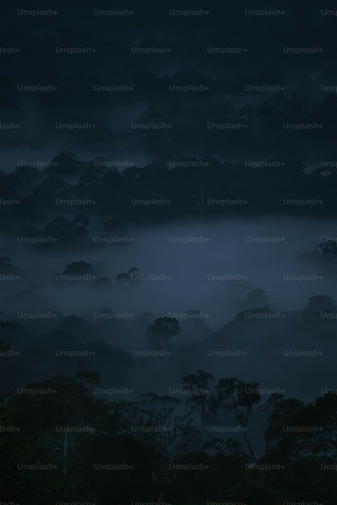 https://p4.img.cctvpic.com/photoworkspace/contentimg/2025/05/04/2025050407213155002.jpg